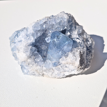 Charger l'image dans la galerie, CELESTINE BRUTE