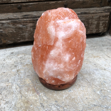 Charger l'image dans la galerie, Lampe en sel rose de l'Himalaya étéinte