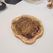 Charger l'image dans la galerie, bois fossile en tranche