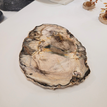 Charger l'image dans la galerie, bois fossile de Madagascar