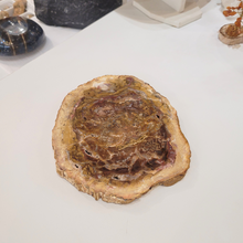 Charger l'image dans la galerie, Bois Fossile Araucaria Madagascar