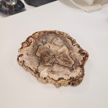 Charger l'image dans la galerie, bois petrifié