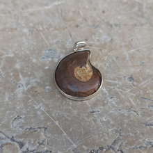 Charger l'image dans la galerie, pendentif ammonite