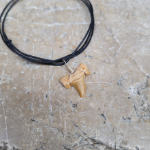 Charger l'image dans la galerie, pendentif dent de requin