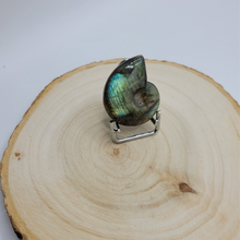 Charger l'image dans la galerie, Ammonite en labradorite