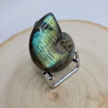 Charger l'image dans la galerie, Ammonite en labradorite