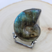 Charger l'image dans la galerie, Ammonite en labradorite