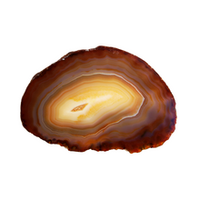 Charger l'image dans la galerie, Tranche Agate Cornaline Grande 17 cm