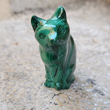 Charger l'image dans la galerie, chat en malachite