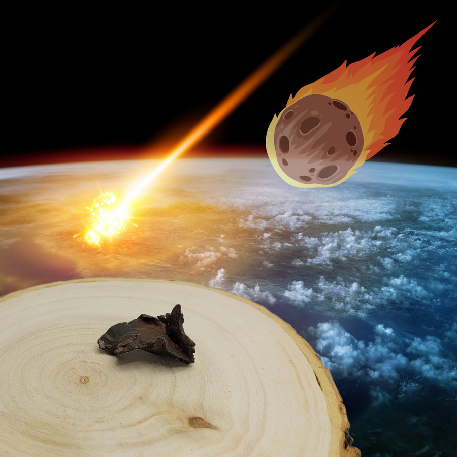 Météorite Sikhote Alin 28g et image de météorite tombant sur la terre