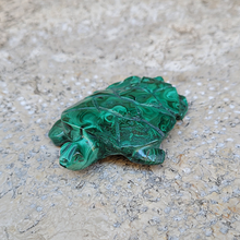 Charger l'image dans la galerie, Tortue en Malachite