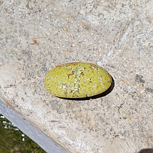 Charger l'image dans la galerie, Galet Opale de Madagascar