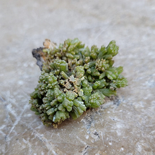 Charger l'image dans la galerie, Pyromorphite - Pièce Unique