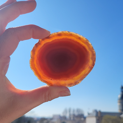 Petite Tranche d'Agate Cornaline - G