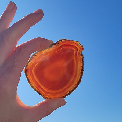 Petite Tranche d'Agate Cornaline - H