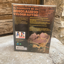 Charger l'image dans la galerie, kit de fouille squelette dinosaure
