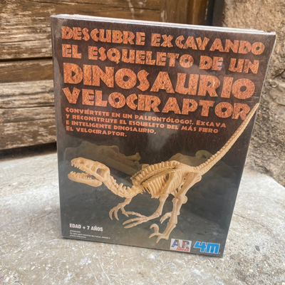Kit de fouille Dinosaure Vélociraptor – Squelette à déterrer