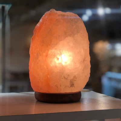 Lampe en sel rose de l'Himalaya -Pièce unique C