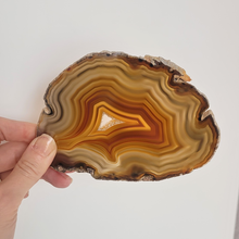 Charger l'image dans la galerie, Tranche Agate Cornaline Pièce unique Brune

