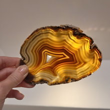 Charger l'image dans la galerie, Tranche Agate Cornaline Pièce unique Brune
