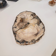 Charger l&#39;image dans la galerie, tranche de bois fossile
