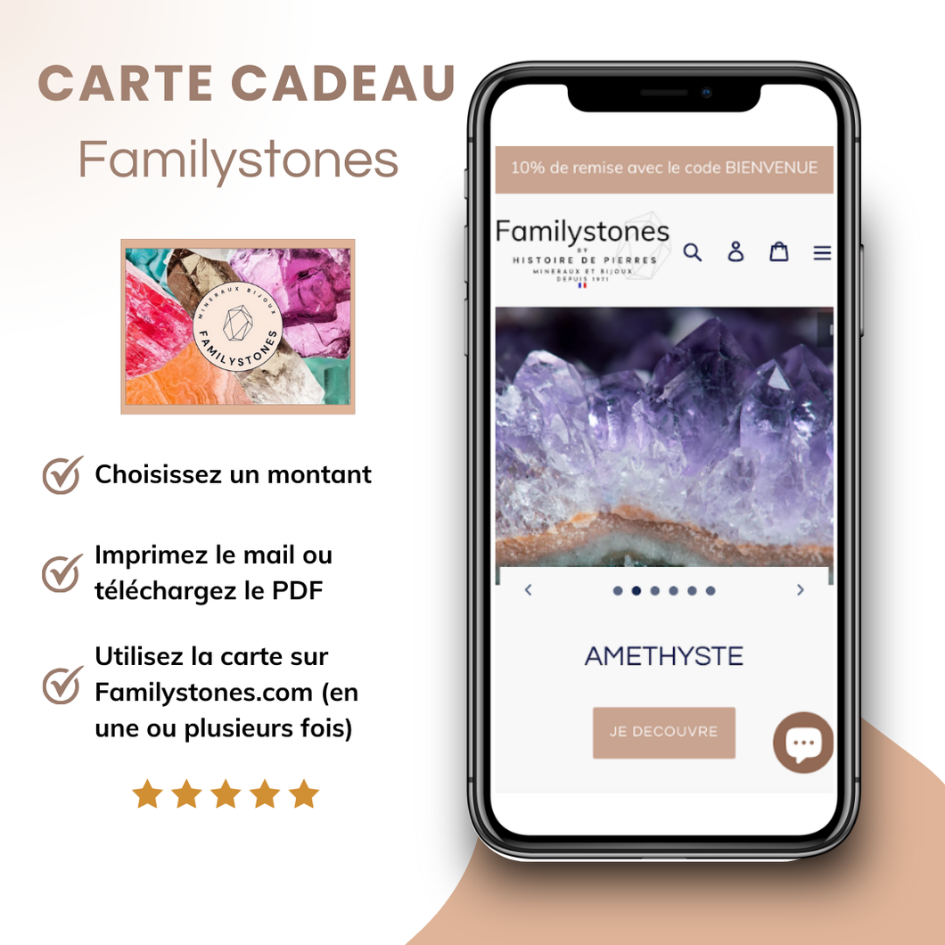 carte cadeau familystones