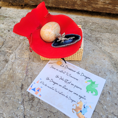 Coffret Le Dresseur de Dragon