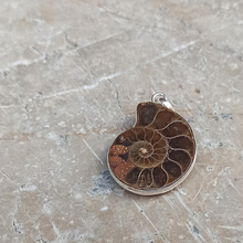 Charger l&#39;image dans la galerie, pendentif ammonite
