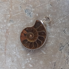 Charger l&#39;image dans la galerie, pendentif ammonite
