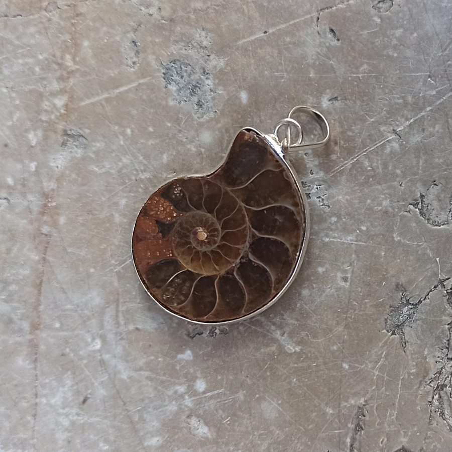 pendentif ammonite