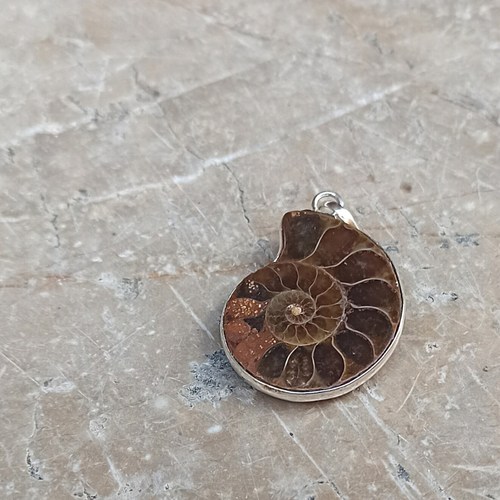 pendentif ammonite
