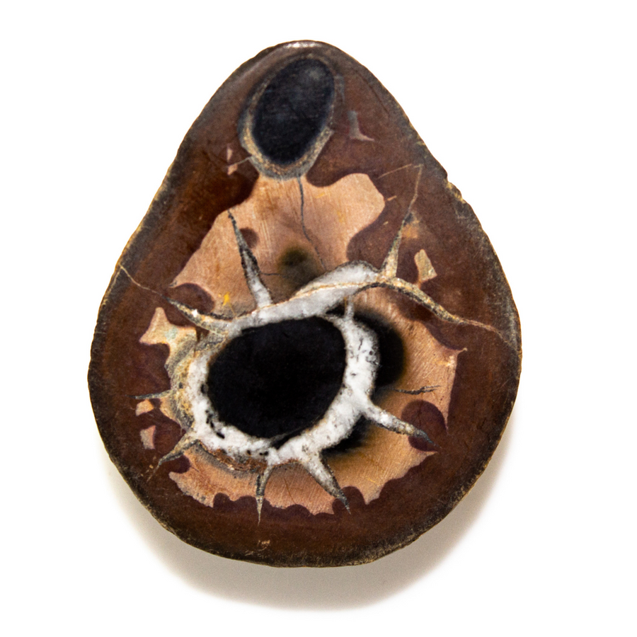 Nodule calcaire, Septaria