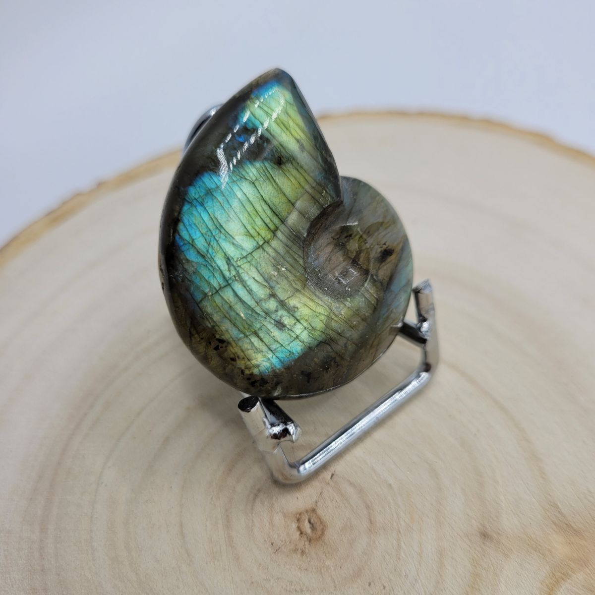 Ammonite en Labradorite