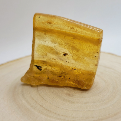 Morceau d'Ambre avec inclusions d'insectes - Pièce unique