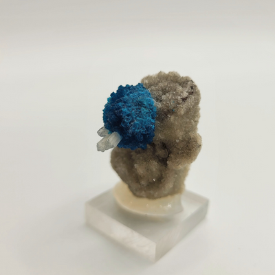Cavansite - Pièce unique