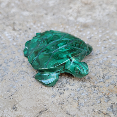 Tortue en Malachite