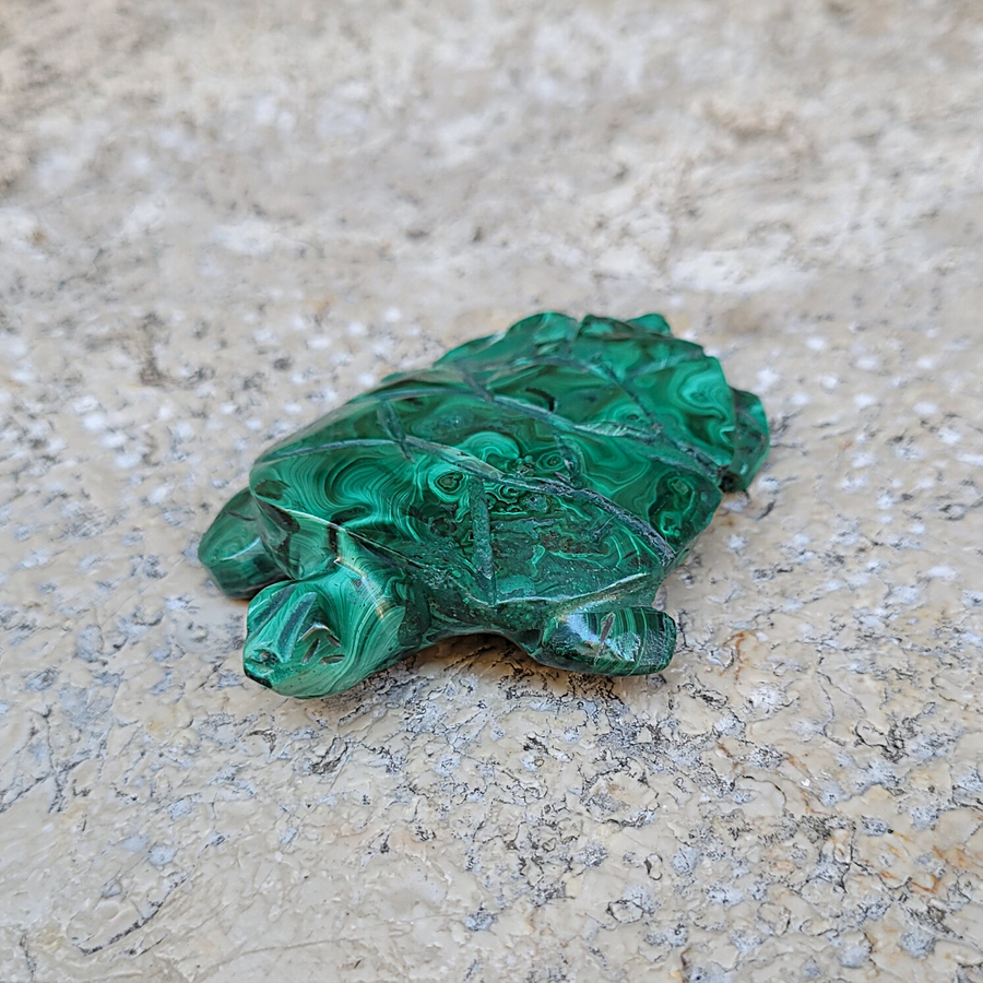 Tortue en Malachite